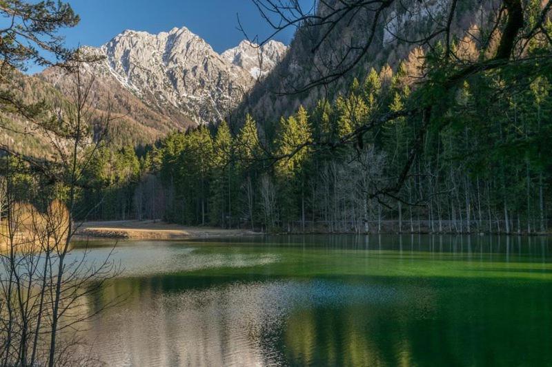 Camping & Glamping Grintovec بريدفور المظهر الخارجي الصورة