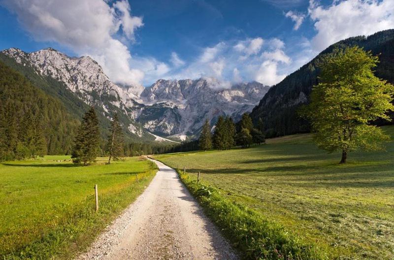 Camping & Glamping Grintovec بريدفور المظهر الخارجي الصورة