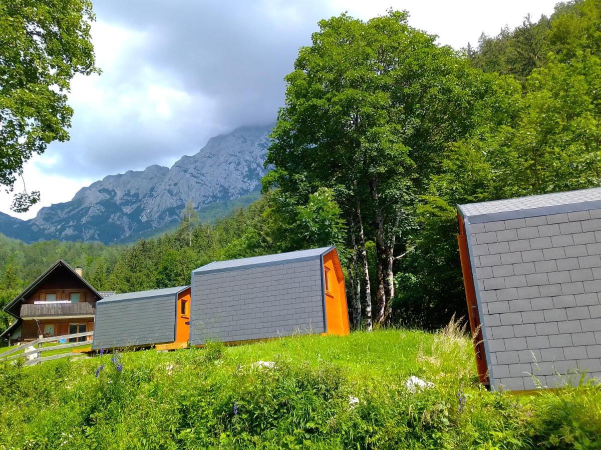 Camping & Glamping Grintovec بريدفور المظهر الخارجي الصورة