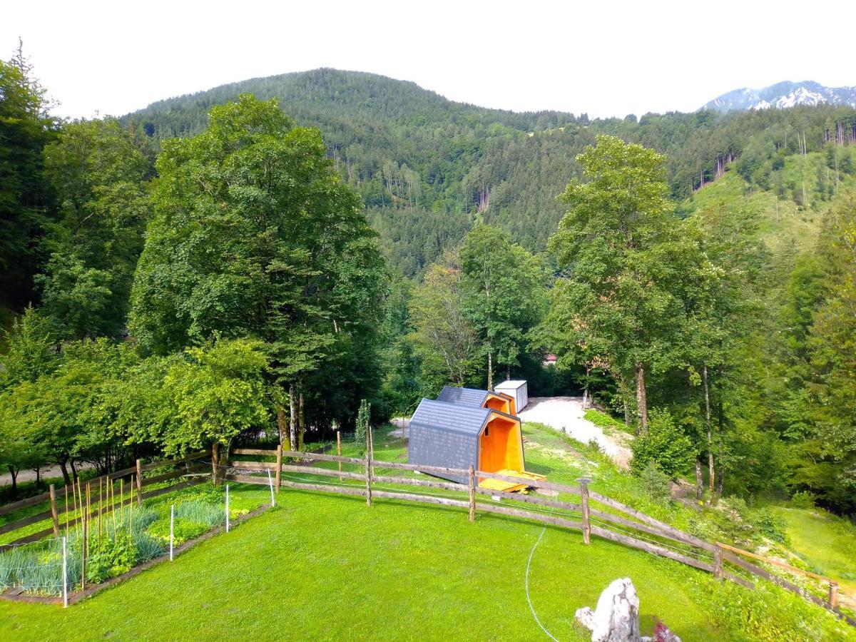 Camping & Glamping Grintovec بريدفور المظهر الخارجي الصورة