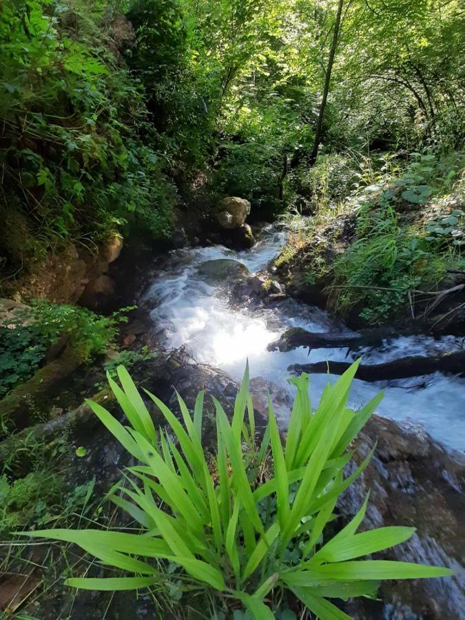 Camping & Glamping Grintovec بريدفور المظهر الخارجي الصورة