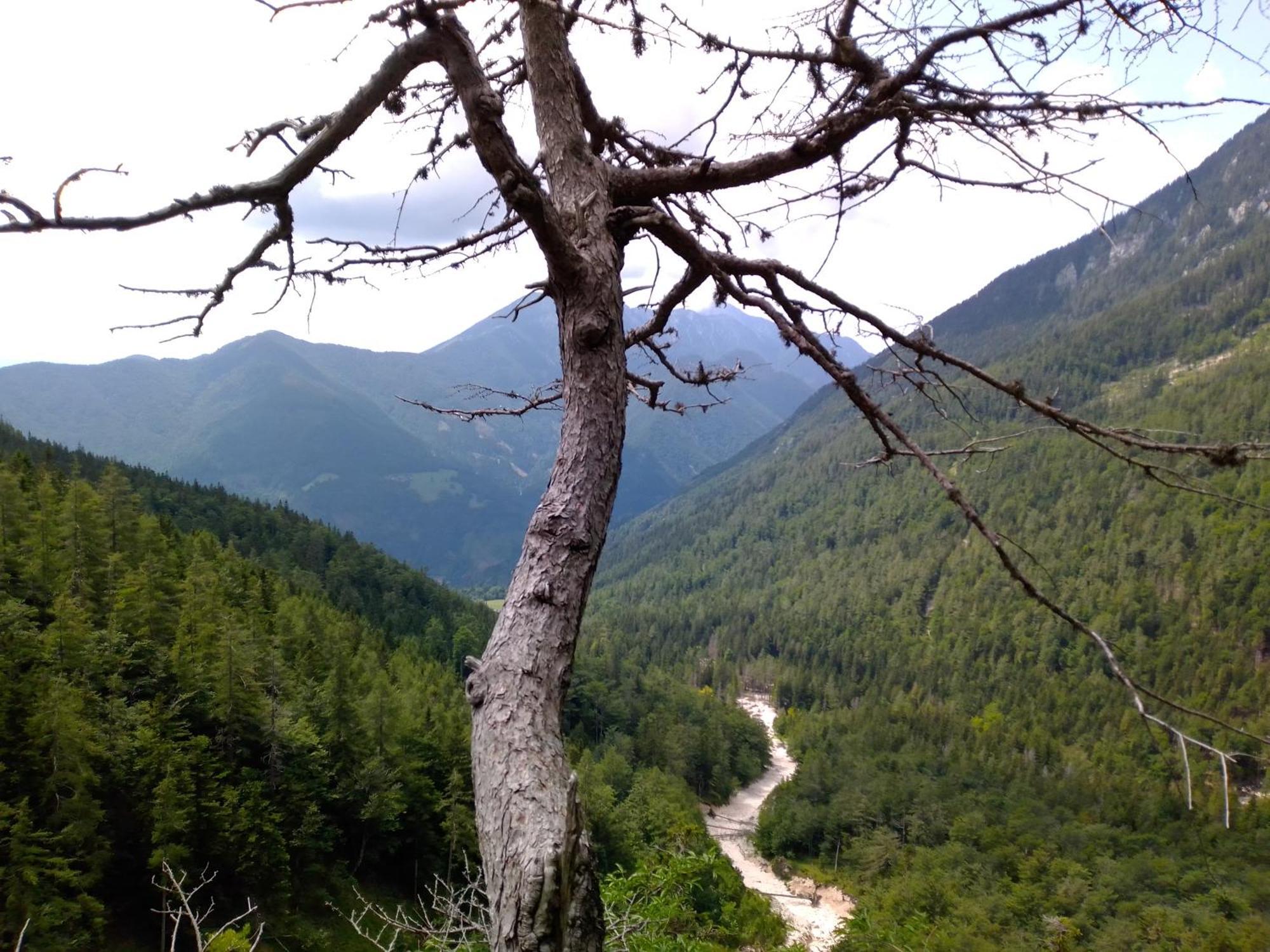 Camping & Glamping Grintovec بريدفور المظهر الخارجي الصورة