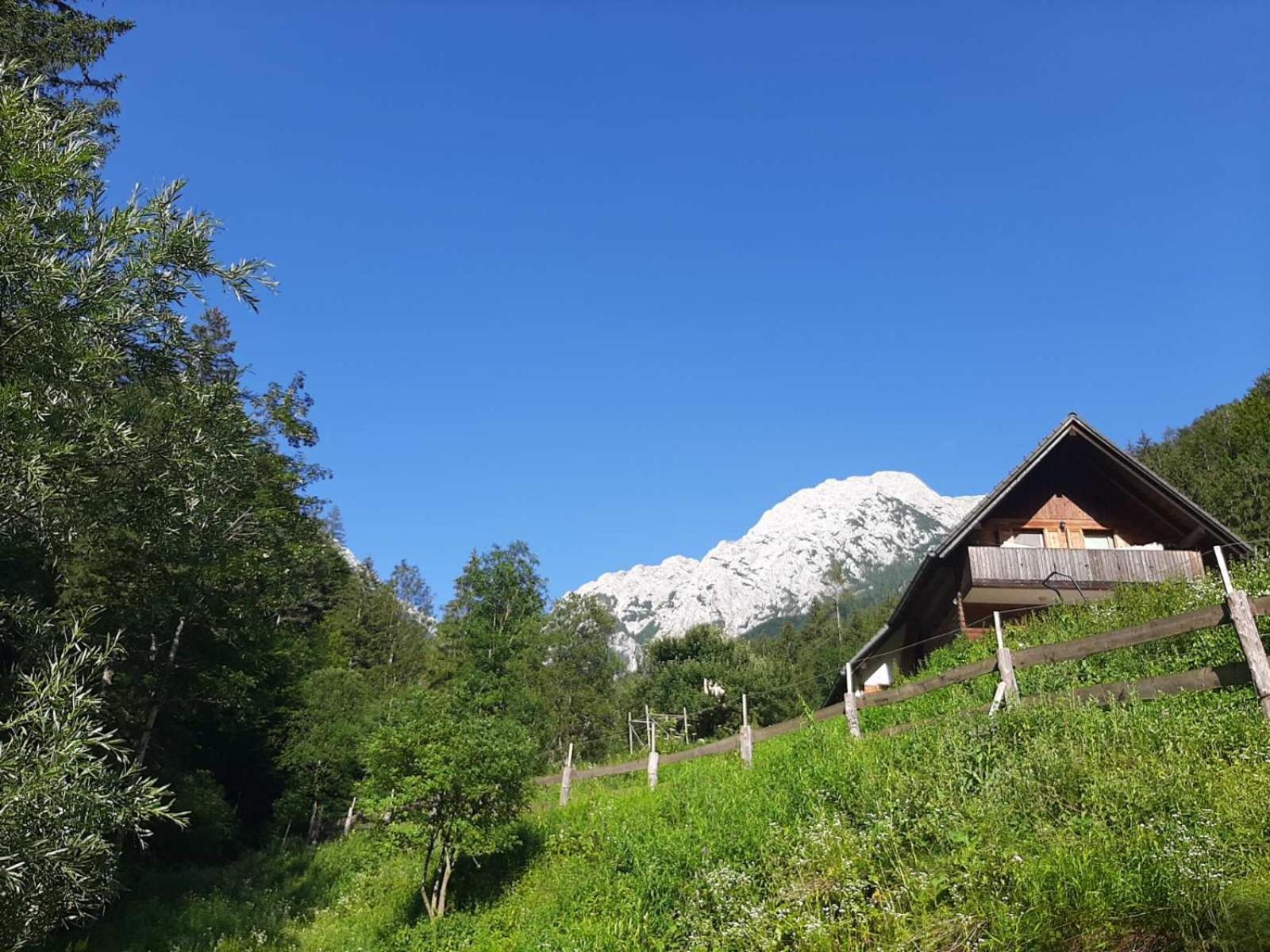 Camping & Glamping Grintovec بريدفور المظهر الخارجي الصورة