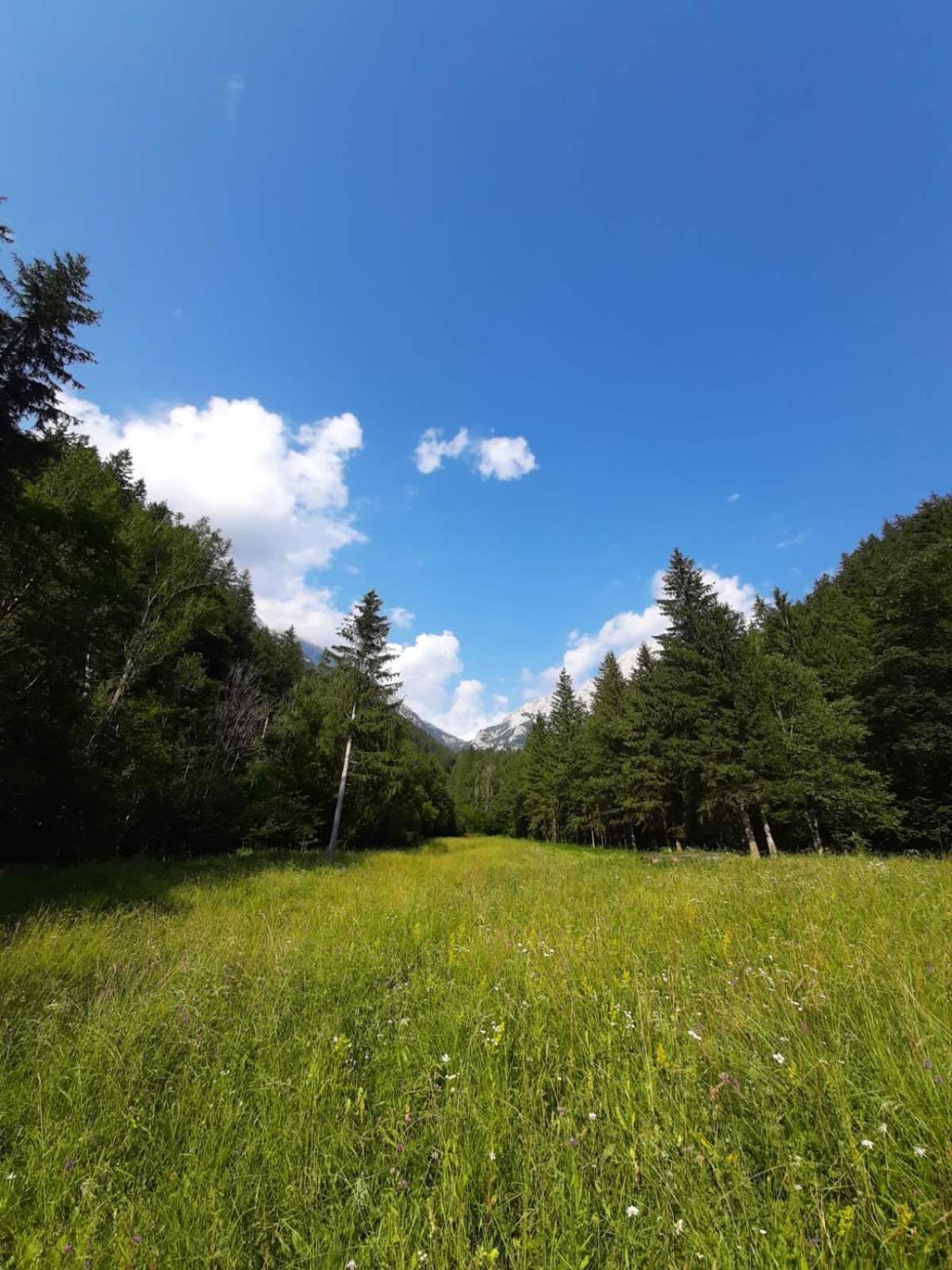 Camping & Glamping Grintovec بريدفور المظهر الخارجي الصورة