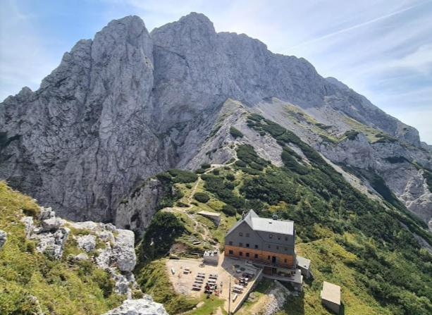 Camping & Glamping Grintovec بريدفور المظهر الخارجي الصورة