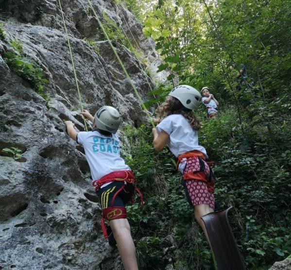 Camping & Glamping Grintovec بريدفور المظهر الخارجي الصورة